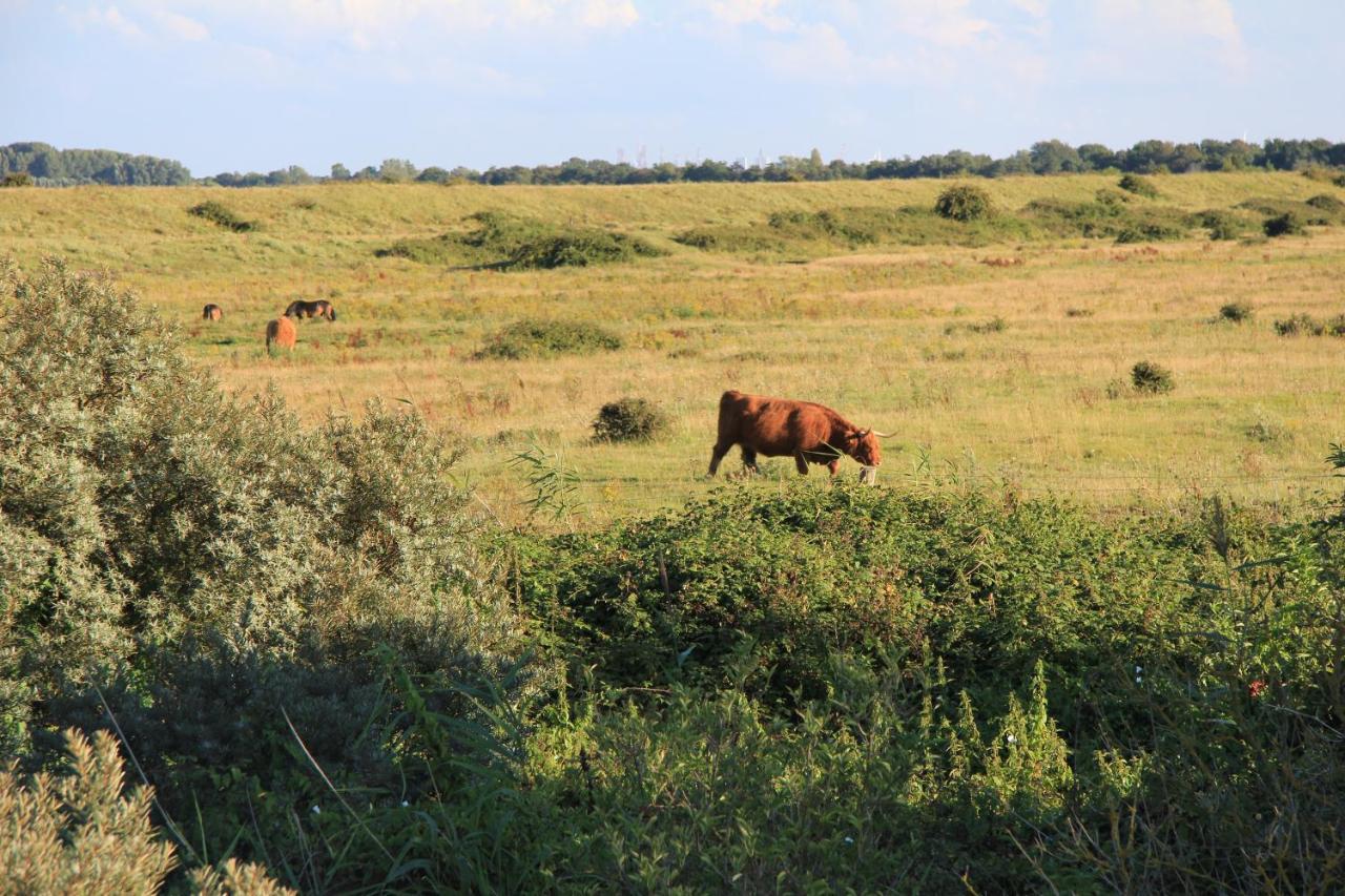 Zeeland & Meer Камперланд Екстериор снимка